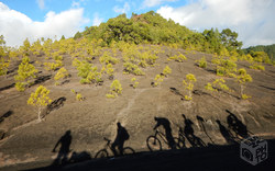 Kraterlandschaft | La Palma / Kanarische Inseln - Spanien