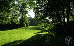Englischer Garten | München - Deutschland