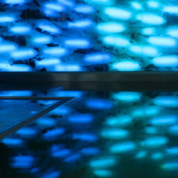 Kreative Fotografie 03