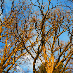 Kreative Fotografie 06